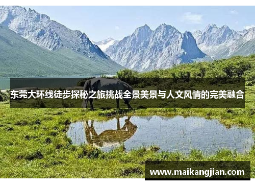 东莞大环线徒步探秘之旅挑战全景美景与人文风情的完美融合