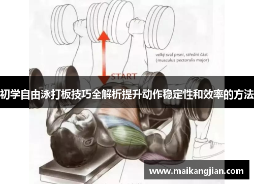 初学自由泳打板技巧全解析提升动作稳定性和效率的方法