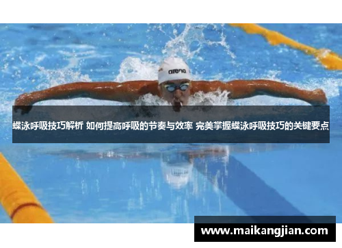 蝶泳呼吸技巧解析 如何提高呼吸的节奏与效率 完美掌握蝶泳呼吸技巧的关键要点