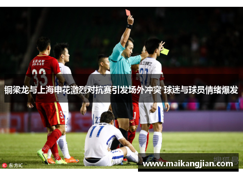 铜梁龙与上海申花激烈对抗赛引发场外冲突 球迷与球员情绪爆发